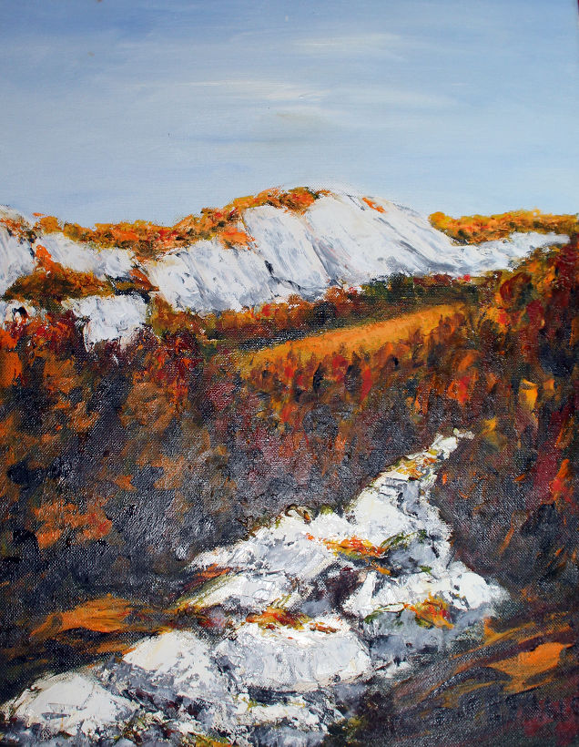 Zvonko Petanović Slavonski Brod